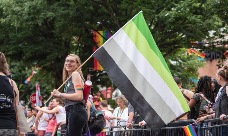 Discreet Aromantic Pride Flag for private display