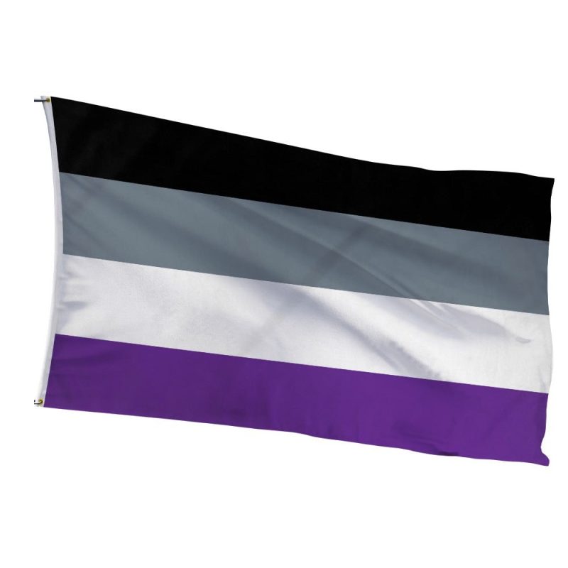 Asexual Pride Flag with black, gray, white, purple stripes by AVEN (2010) - black (asexuality), gray (gray-ace/demi), white (allies), purple (community)