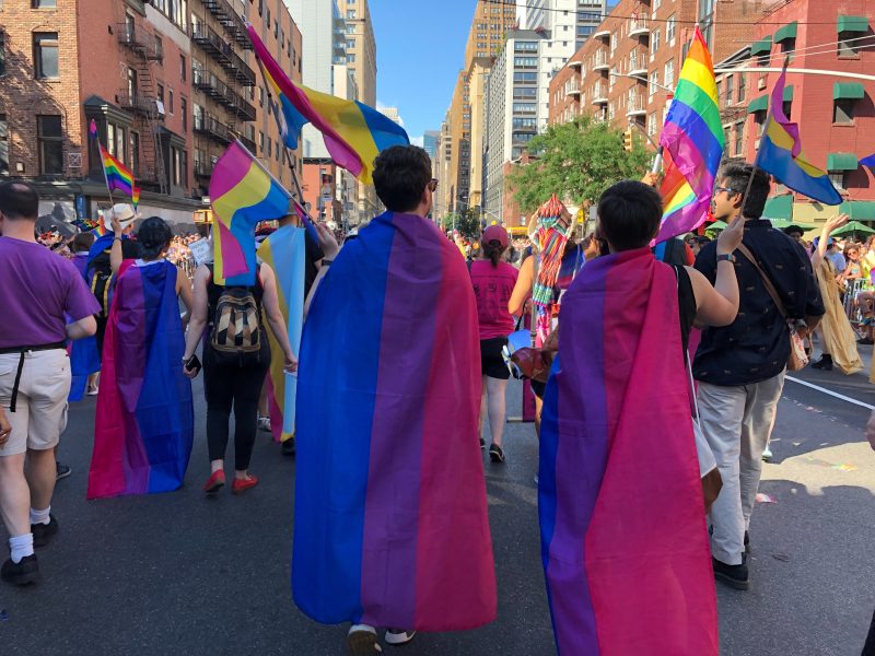 Bi pride flag with matching throw pillows - ideal for dorm rooms and queer-friendly cafes