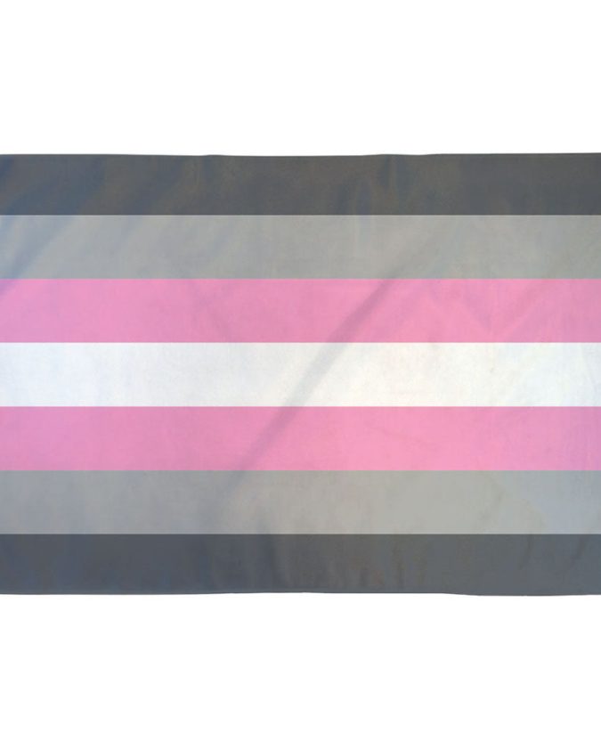 Demigirl Pride Flag with pink, white, and gray stripes representing partial femininity and non-binary identity