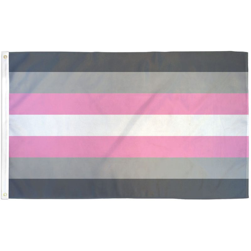 Demigirl Pride Flag with pink, white, and gray stripes representing partial femininity and non-binary identity