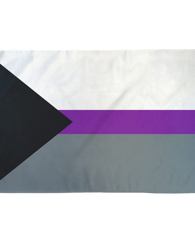 Demisexual Pride Flag with black, gray, white, and purple stripes representing conditional emotional connection