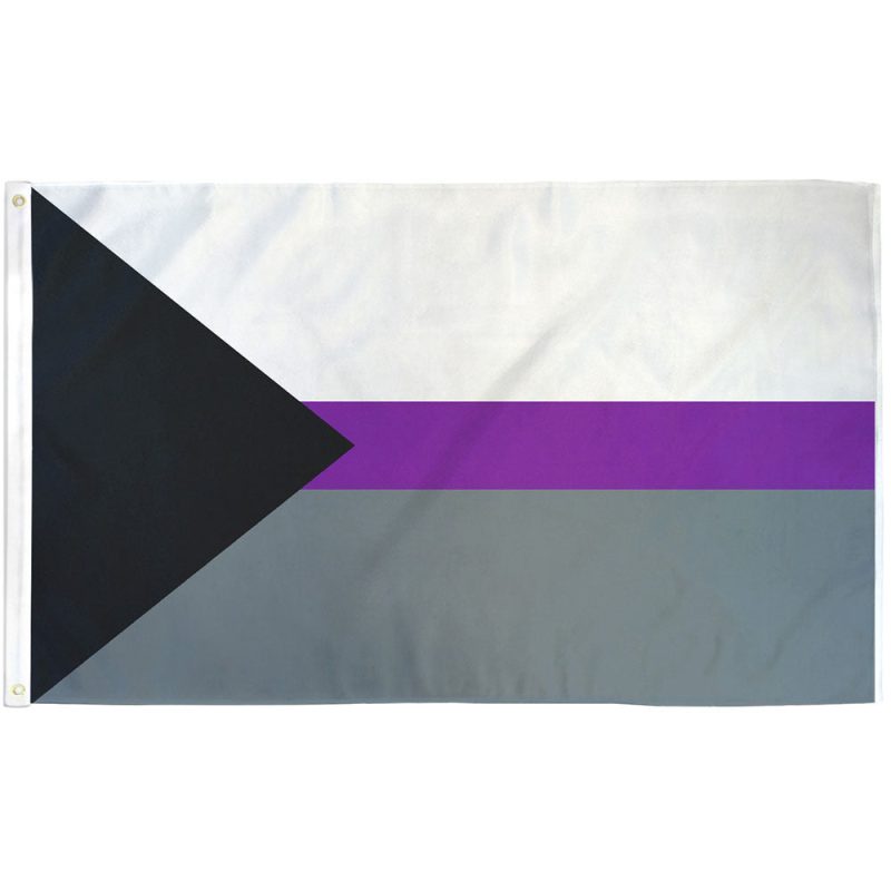 Demisexual Pride Flag with black, gray, white, and purple stripes representing conditional emotional connection