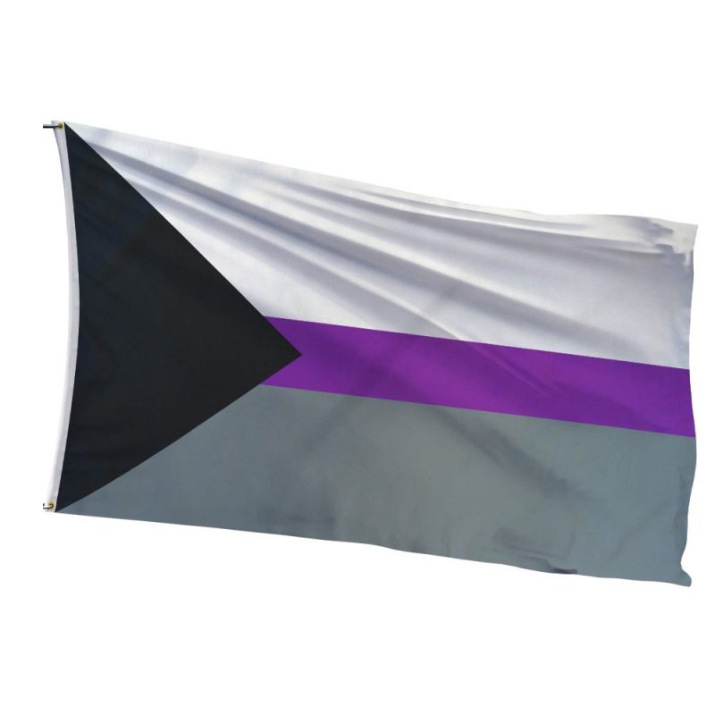 Demisexual Pride Flag with gradient heart motif symbolizing emotional-first connections