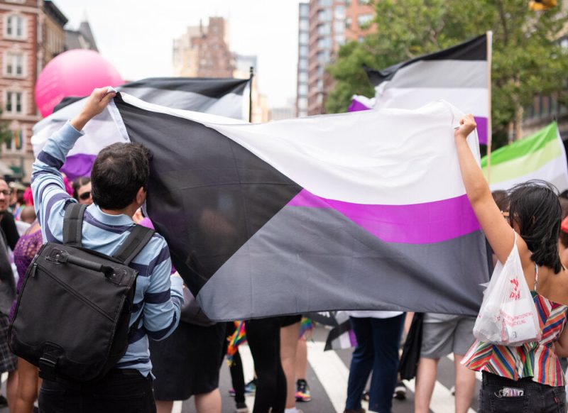 Outdoor-rated Demisexual Flag with detachable dating icebreaker cards