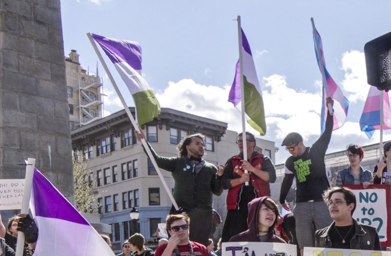 Indoor/outdoor genderqueer flag with fade-resistant colors for year-round displays