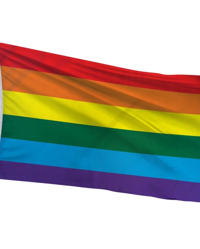 Vibrant LGBTQ+ Pride Flag for celebrations, parades, and showing solidarity with the community