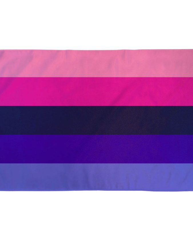 Omnisexual Pride Flag with pink, blue, purple stripes and central black circle representing attraction beyond gender blindness