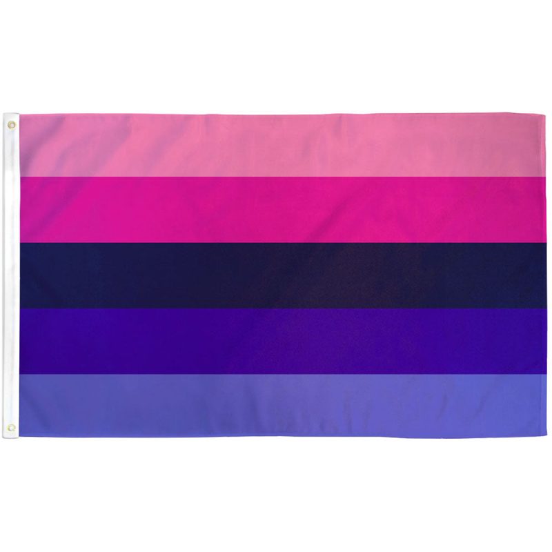 Omnisexual Pride Flag with pink, blue, purple stripes and central black circle representing attraction beyond gender blindness