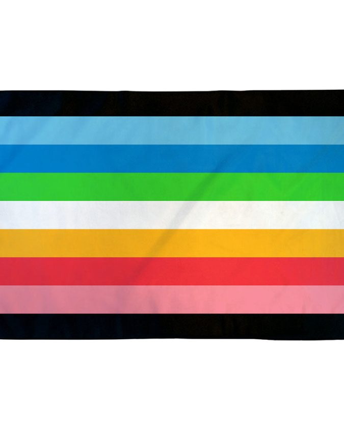 Queer Pride Flag with reclaimed pink triangle and rainbow stripes - a symbol of LGBTQ+ resistance and liberation