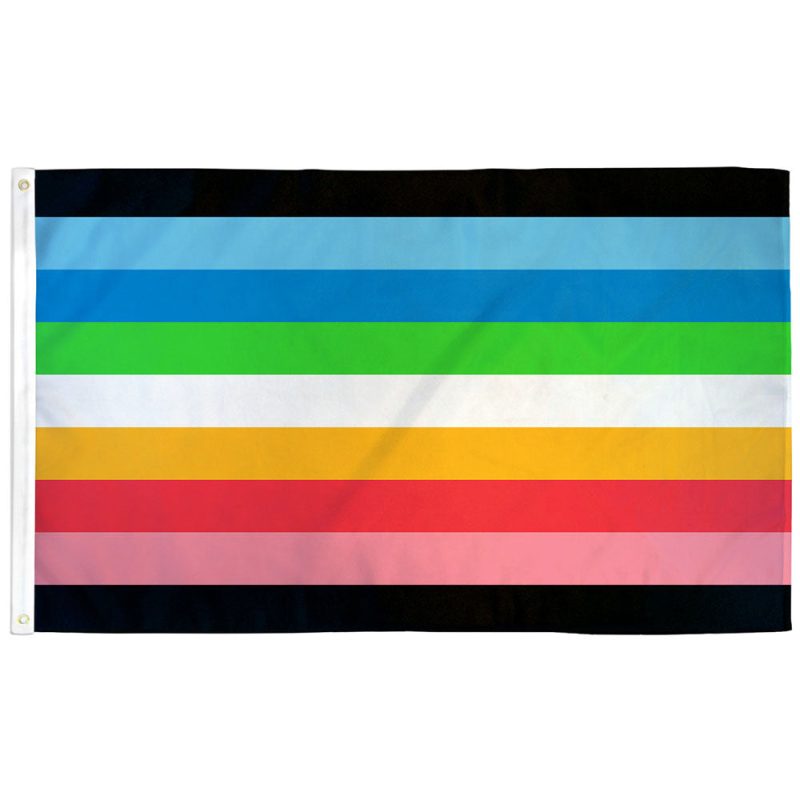 Queer Pride Flag with reclaimed pink triangle and rainbow stripes - a symbol of LGBTQ+ resistance and liberation