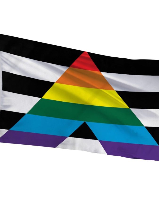 LGBTQ+ Ally Pride Flag for showing support to friends, family, and coworkers