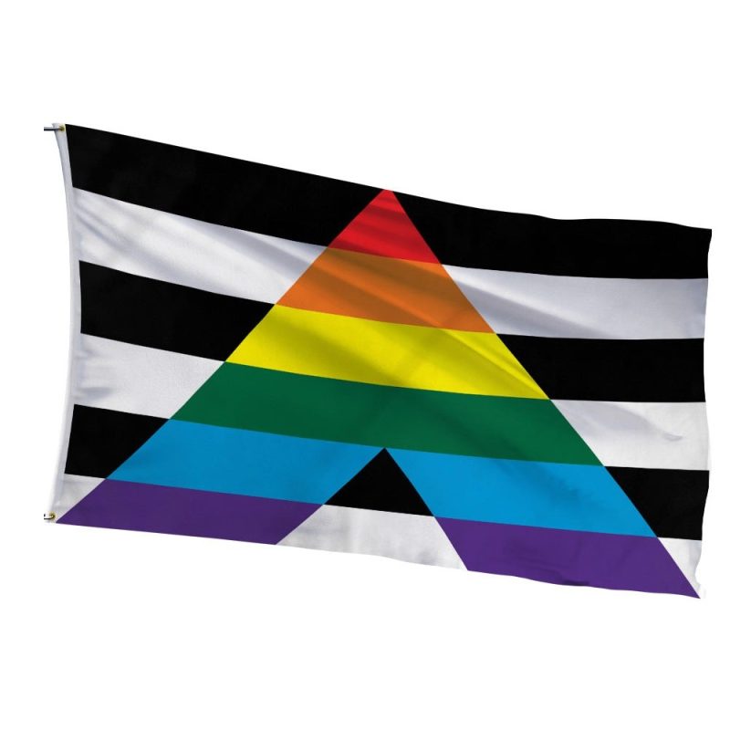 LGBTQ+ Ally Pride Flag for showing support to friends, family, and coworkers