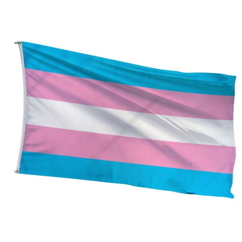 Transgender support flag waving in solidarity - perfect for ally homes and PFLAG events