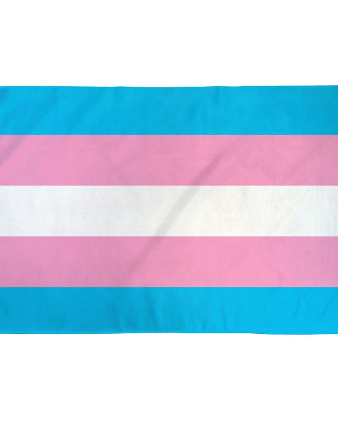 Transgender Pride Flag with light blue, pink, and white stripes designed by Monica Helms (1999)